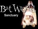 Bat World Sanctuary